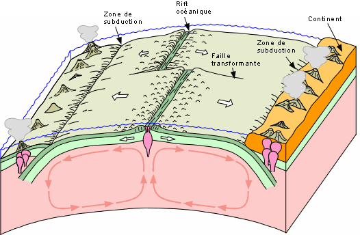 Convection, dorsale et subduction